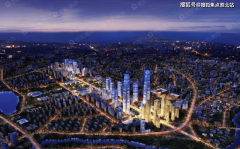 <b>荟萃、经济、文化、交资本</b>